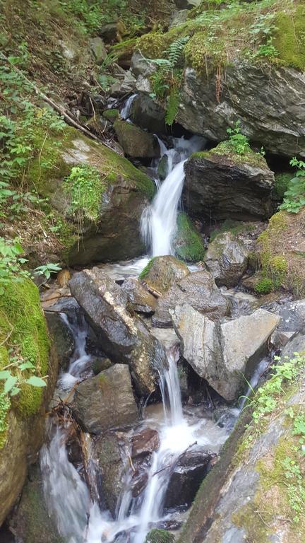 Gastehaus Eberl - Rita Otel Finkenberg Dış mekan fotoğraf